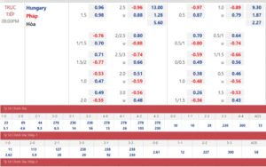 Odds là gì trong cá cược